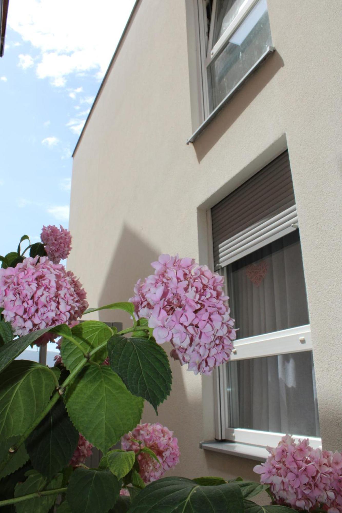 Apartment Merry - Free Garage & Parking Мостар Экстерьер фото